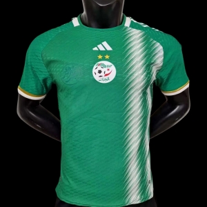 Player Version 2022 Algeria Away Jersey