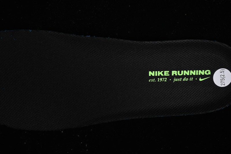 Nike Air Zoom Vomero 17 Lunar Running Shoes with Cushioned Zoom Air Unit - FB1309-300