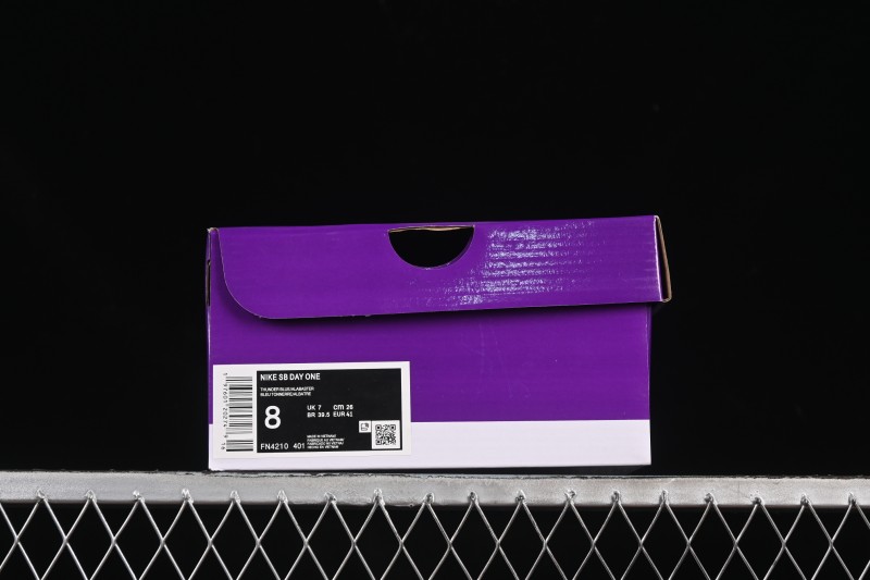 Nike SB Day One Low Casual Skate Shoes - FN4210-401